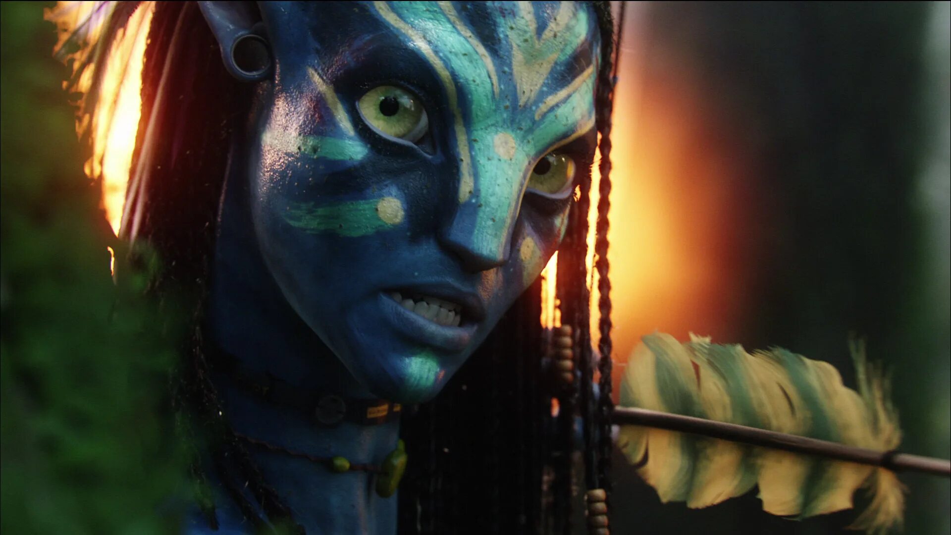 Avatar fighting