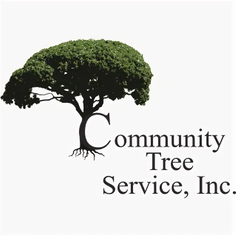 Community tree. Trees ecosystem service.