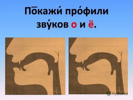 Картинки профиля звуков