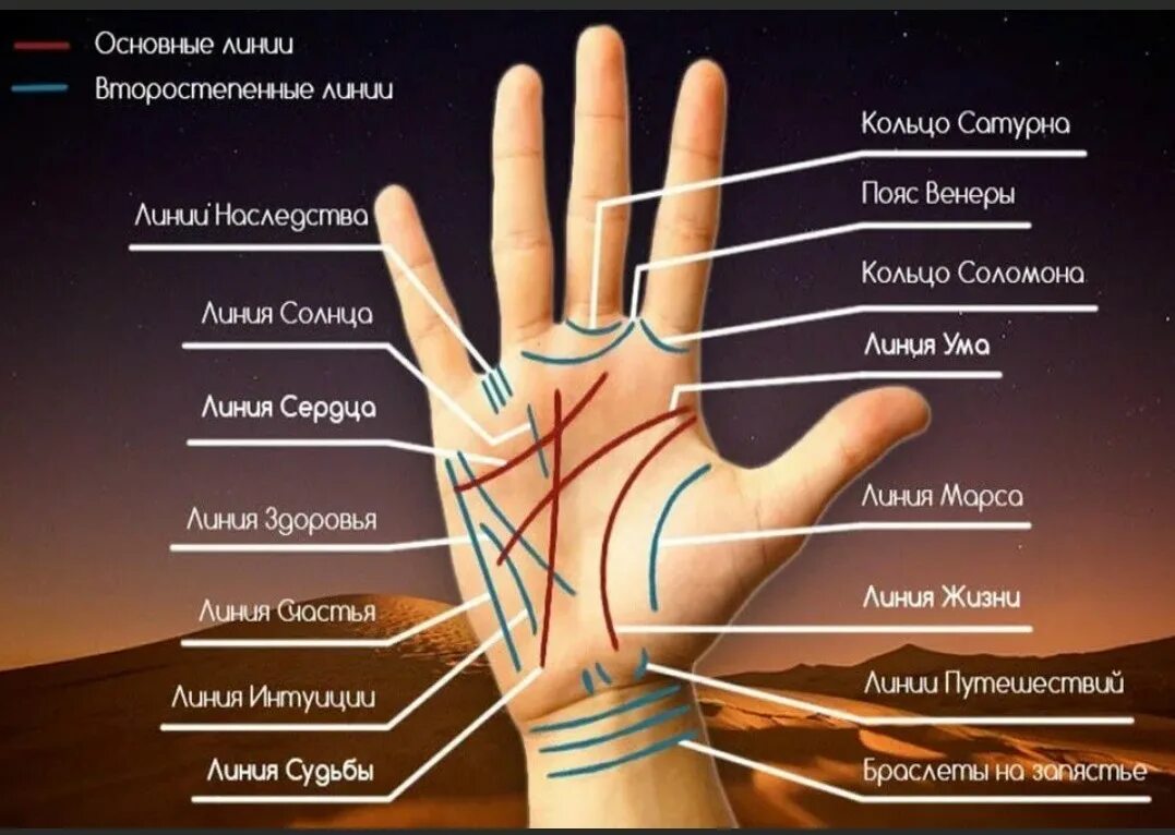 Линии на ладони. Значимые линии на руке. Что означают линии на ладони. Линия жизни на руке. Левая рука становится правой