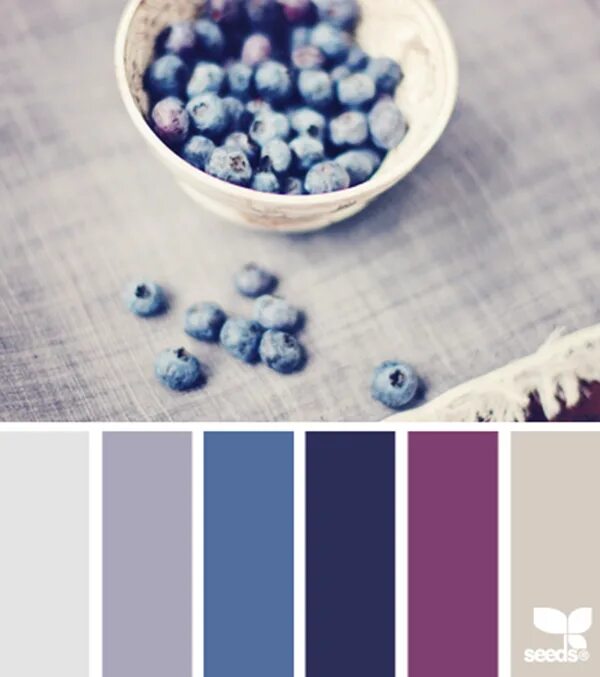 С чем сочетается голубика. Палитра голубика черника. С чем сочетается голубика. Сочетание цветов с черным. Цветовая палитра зеленый синий коричневый.