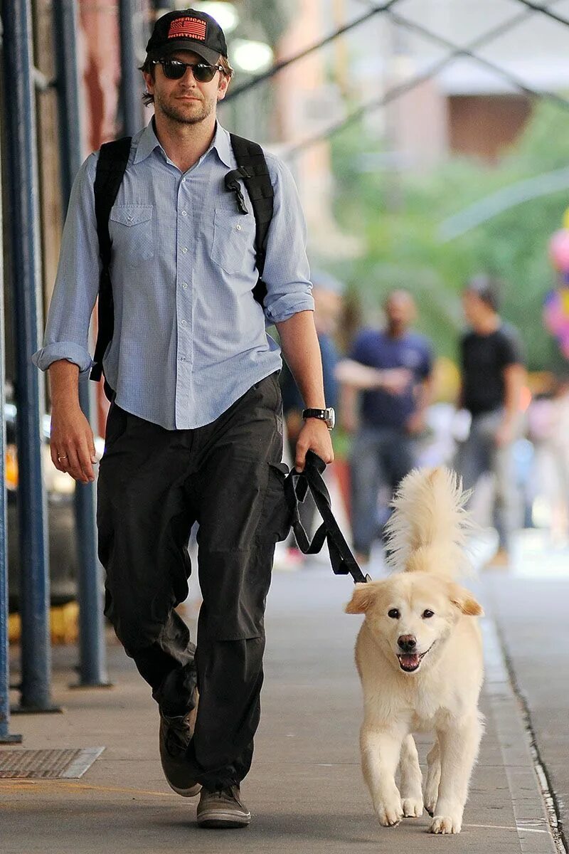 Мужик с собакой в крокусе. Собака Брэдли Купера. Хью Джекман с собакой.