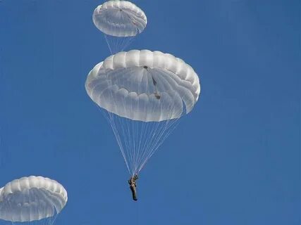 Корзина лиловый парашют профессия