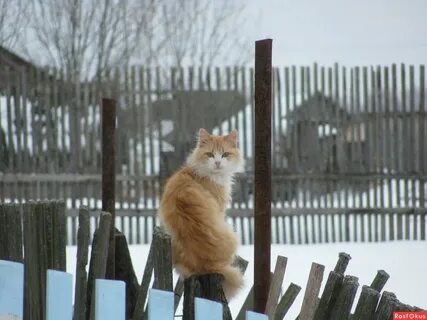 Мне сверху видно все