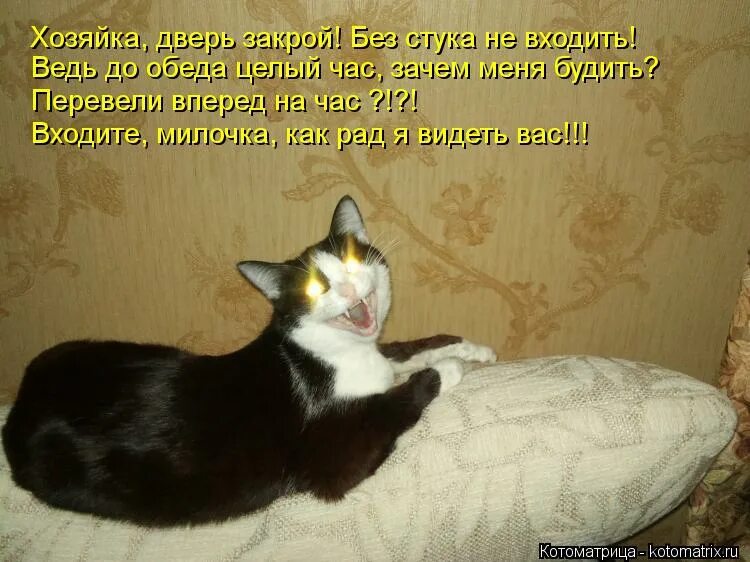 Если вы пришли с добром заходите без стука. В дом ко мне вошла без стука скука текст. Без стука не входить. Она заходит в дом без стука. Извини что я без стука.