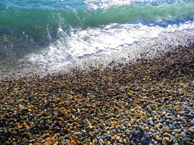 Пляж в сентябре в сочи. Рыбалка в сочи на море. Вода в море сочи сентябрь. Вода в море сочи сентябрь. Цветёт черное море в адлере.