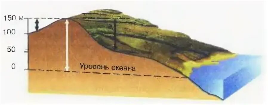 Холмы высота над уровнем моря