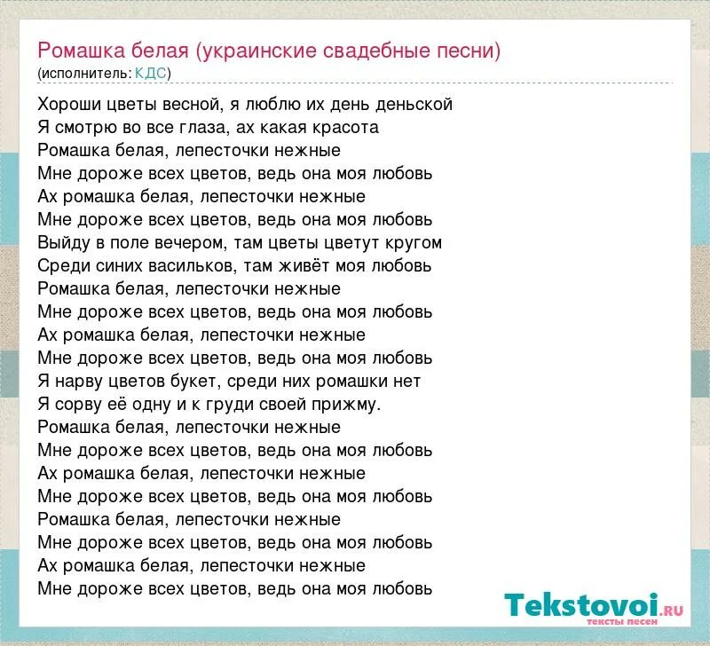 Нежность текст песни. Ромашка белая текст. Текст песни ромашки. Песня Ромашка белая лепесточки нежные. Лепесточки нежные песня текст