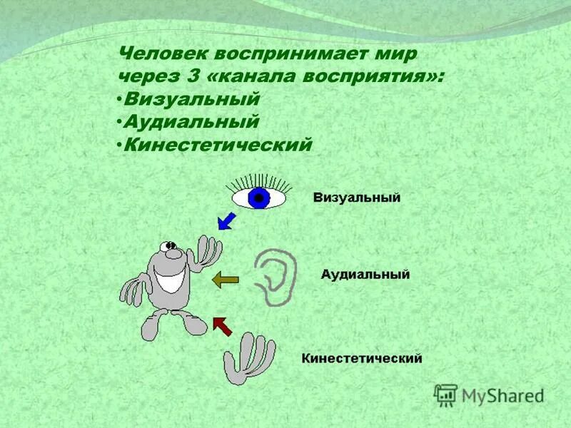 Тактильно кинестетические ощущения