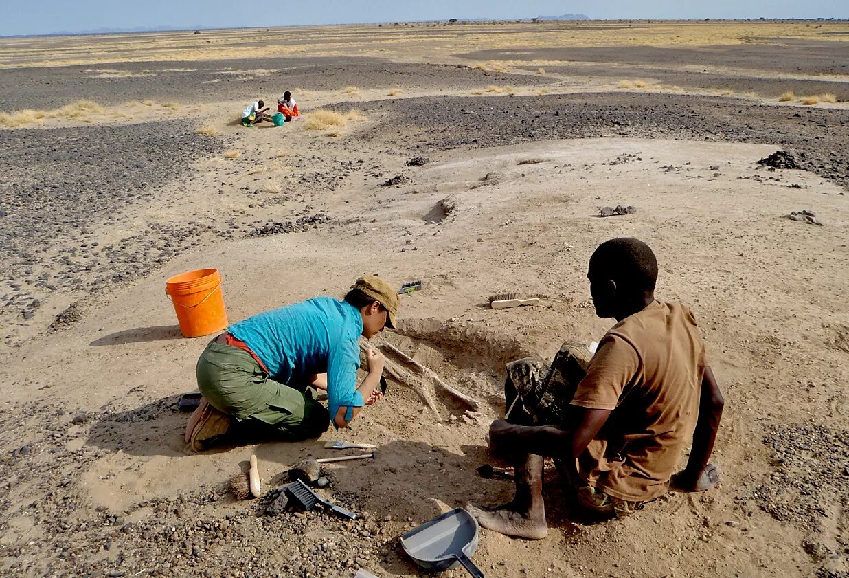 Самое раннее видео. Антрополог фото в поле. Oldest signs of violence among Human ANCESTORS found in Kenya.