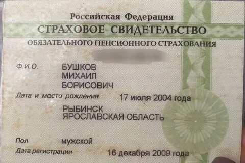 Что можно узнать по снилс о человеке