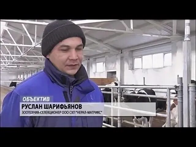 Нерал уфа. Нерал буздяк. Нерал-матрикс туймазинский. Уфа улица ульяновых 66. Нерал уфа.