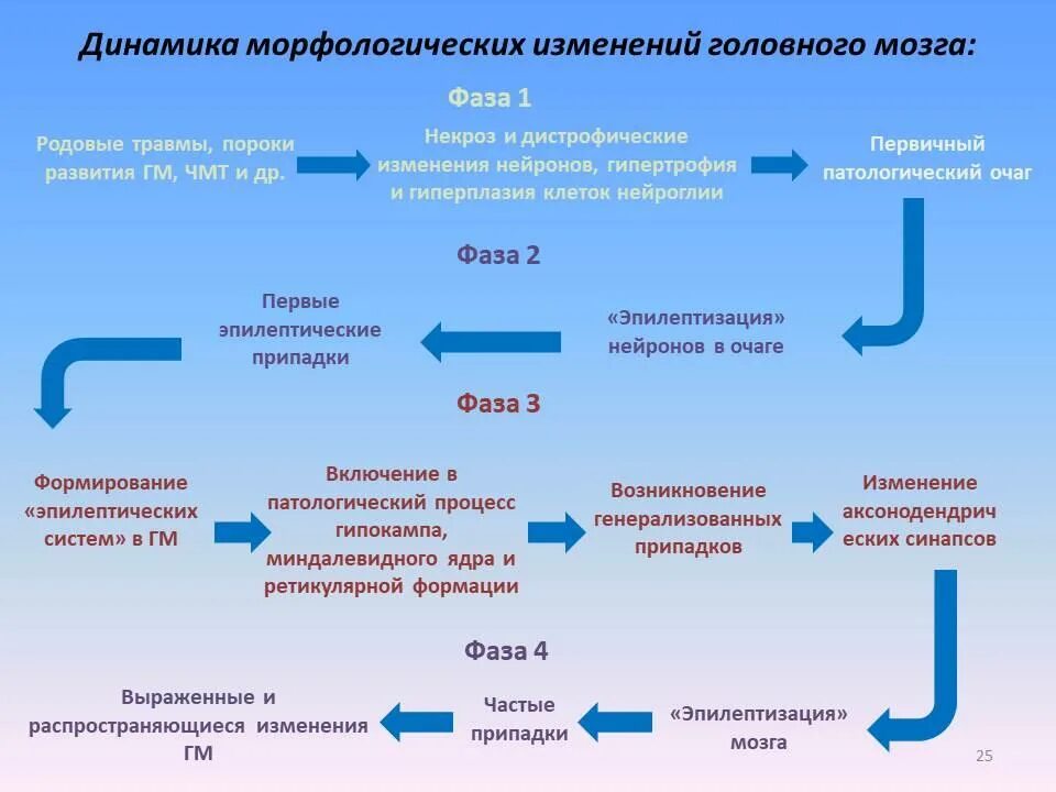 Структурные изменения в мозге. Структурные изменения в мозге