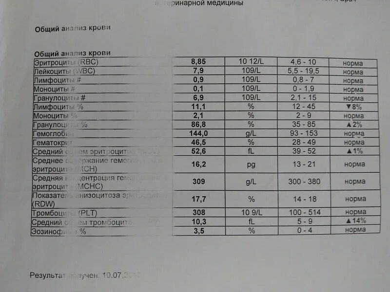 Анализ wbc норма у мужчин. PLT анализ крови расшифровка. ОАК PLT норма. Расшифровать анализ крови общий у взрослого. Общий анализ крови расшифровка у женщин.