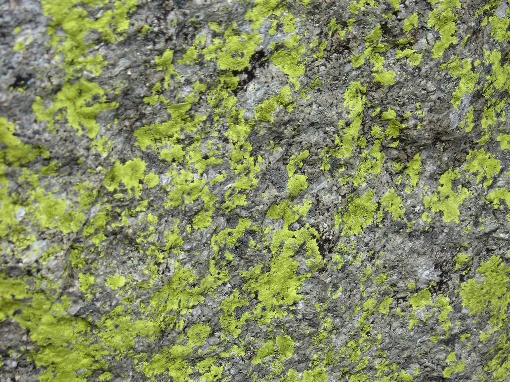 Texture 2