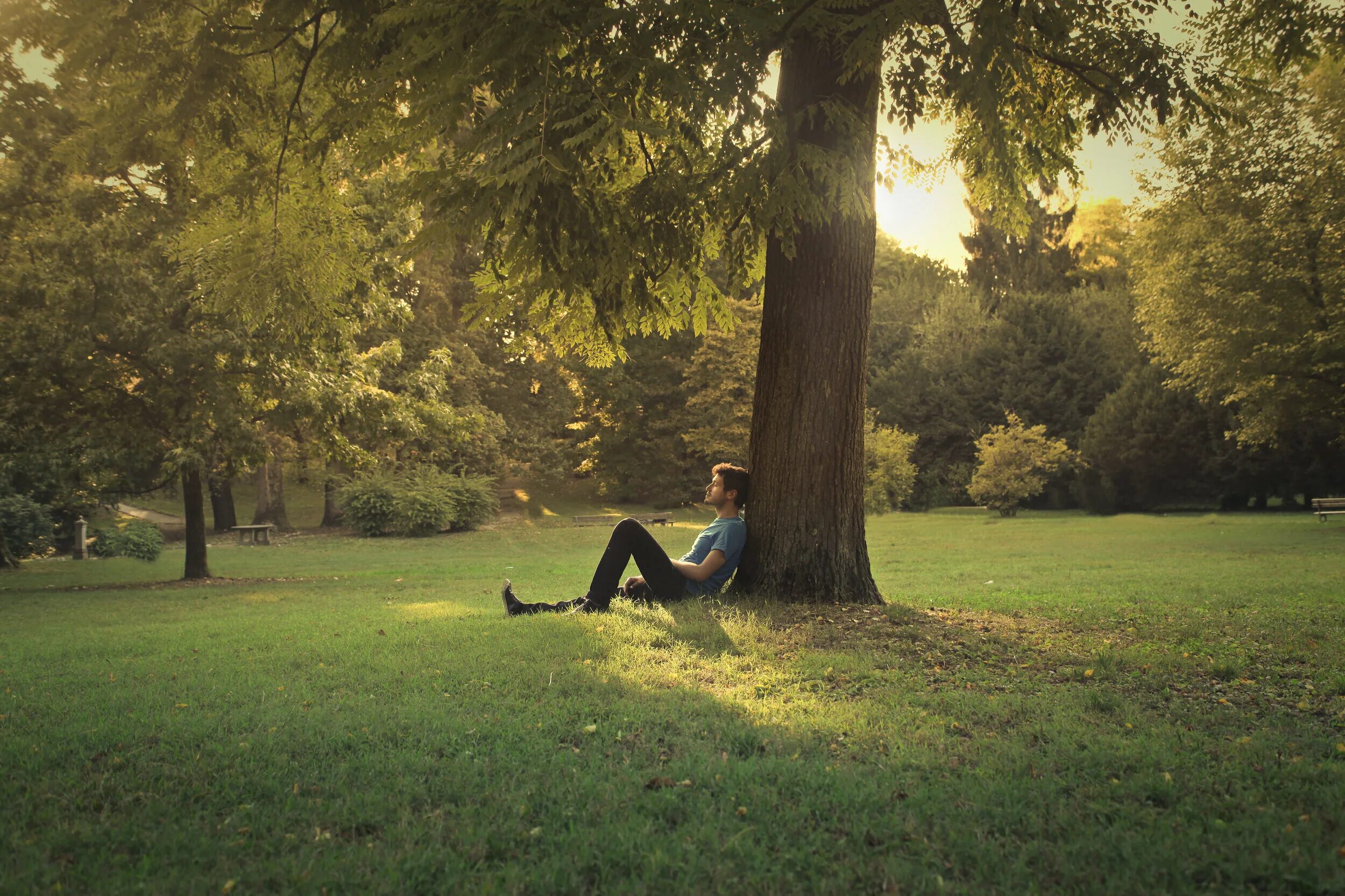 Sit under the tree. Sitting under the tree. sit and rest in the park. resting places near the trees in the park. give it a rest.