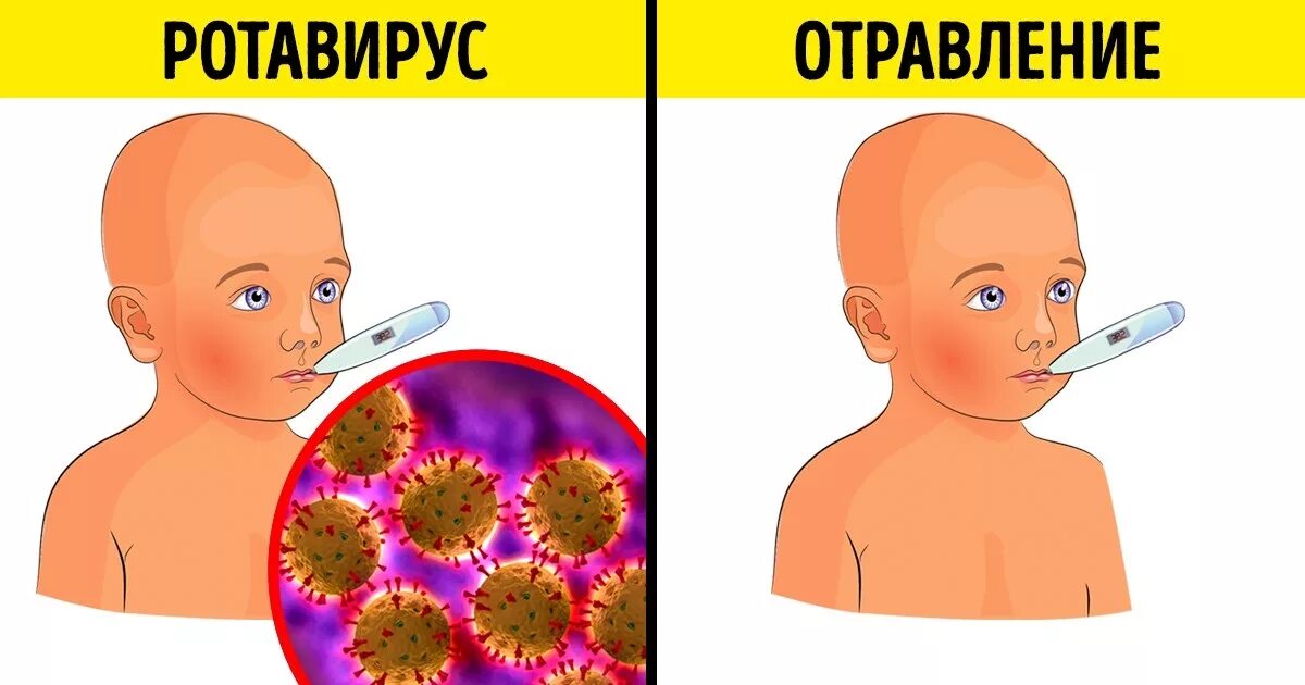 Как отличить отравление от ротавируса. Ротовирус и отравление. ротавирус. ротовирус рисунок. ротавирус или отравление у взрослого.