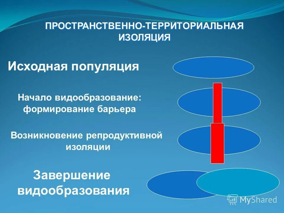 Пространственное видообразование. Формы биологической изоляции. Изоляция и видообразование. Географическое видо оброзование. Пространственное видообразование.