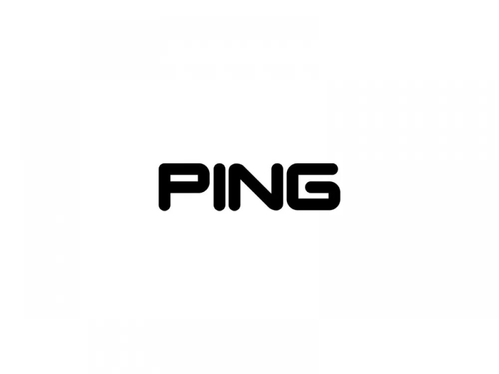 Ping s