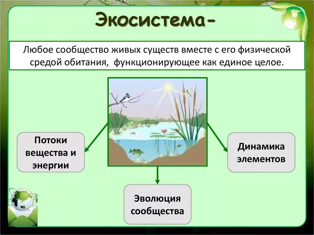 Экосистема. Экологические сообщества. Экологическое сообщество это в биологии. Экосистема это в экологии.