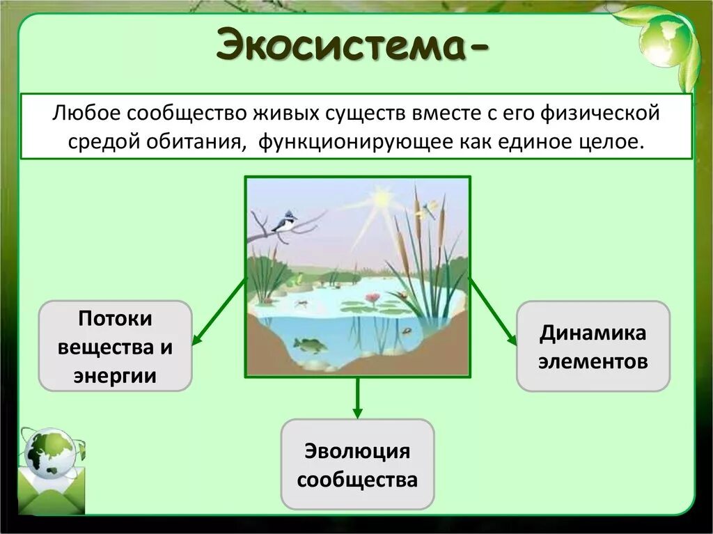 Возможна ли такая ситуация в природном сообществе. Экосистема. Экологические сообщества. Экологическое сообщество это в биологии. Экосистема это в экологии.