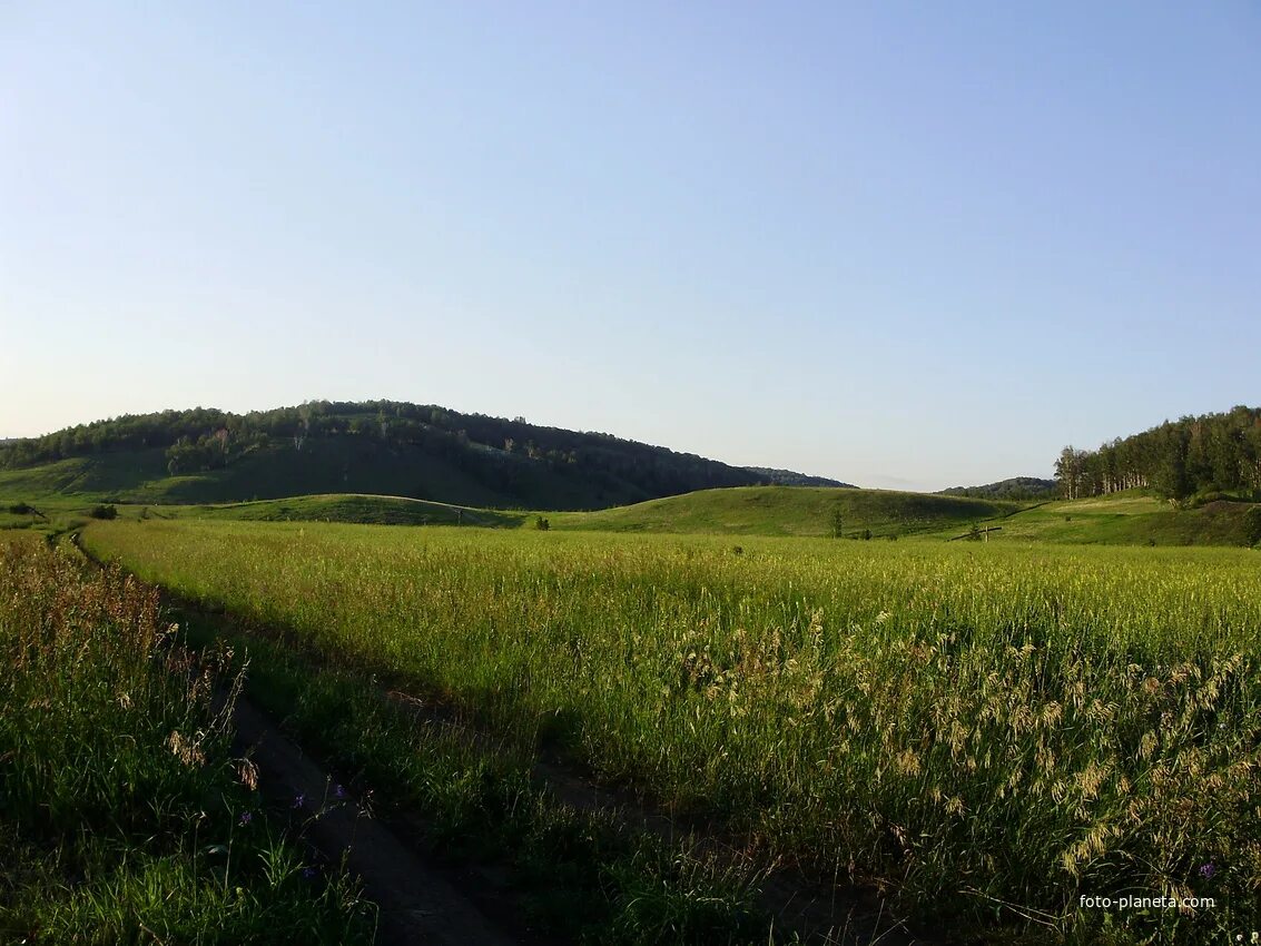 Село красный Яр Башкортостан. Сосновые леса красный Яр Кишерть. Бабиадский Яр. Деревня красный Яр Алтайский край. Красный яр татарстан