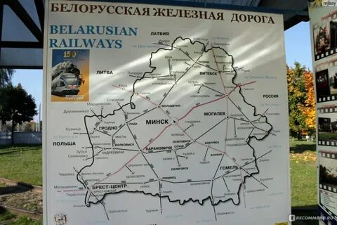 Расстояние от бреста до беловежской пущи