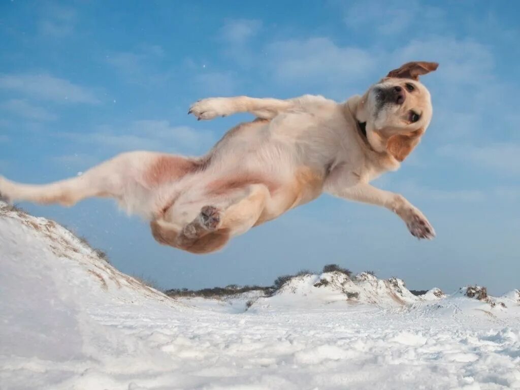 парящие над городом. дирижабль над городом. лечу по городу. летающий человек. парень и девушка в полёте.