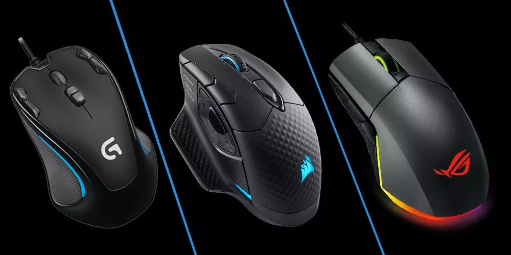 Mouse en. Mouse en