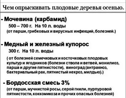 Железный купорос для обработки плодовых деревьев весной