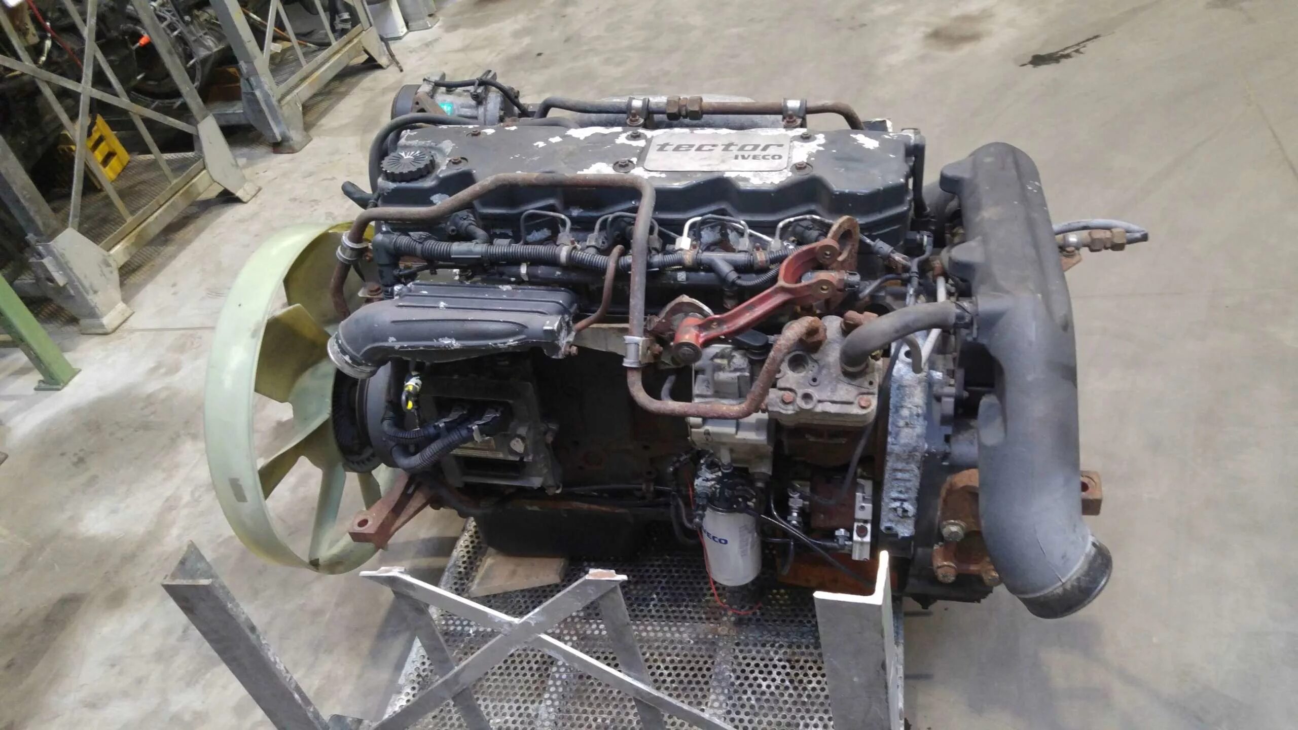 Двигатель ивеко. Tector iveco f4ae. двигатель ивеко f4. двигатель тектор 6 ивеко еврокарго. f4ae0681.