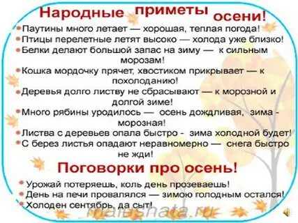 Детские народные приметы