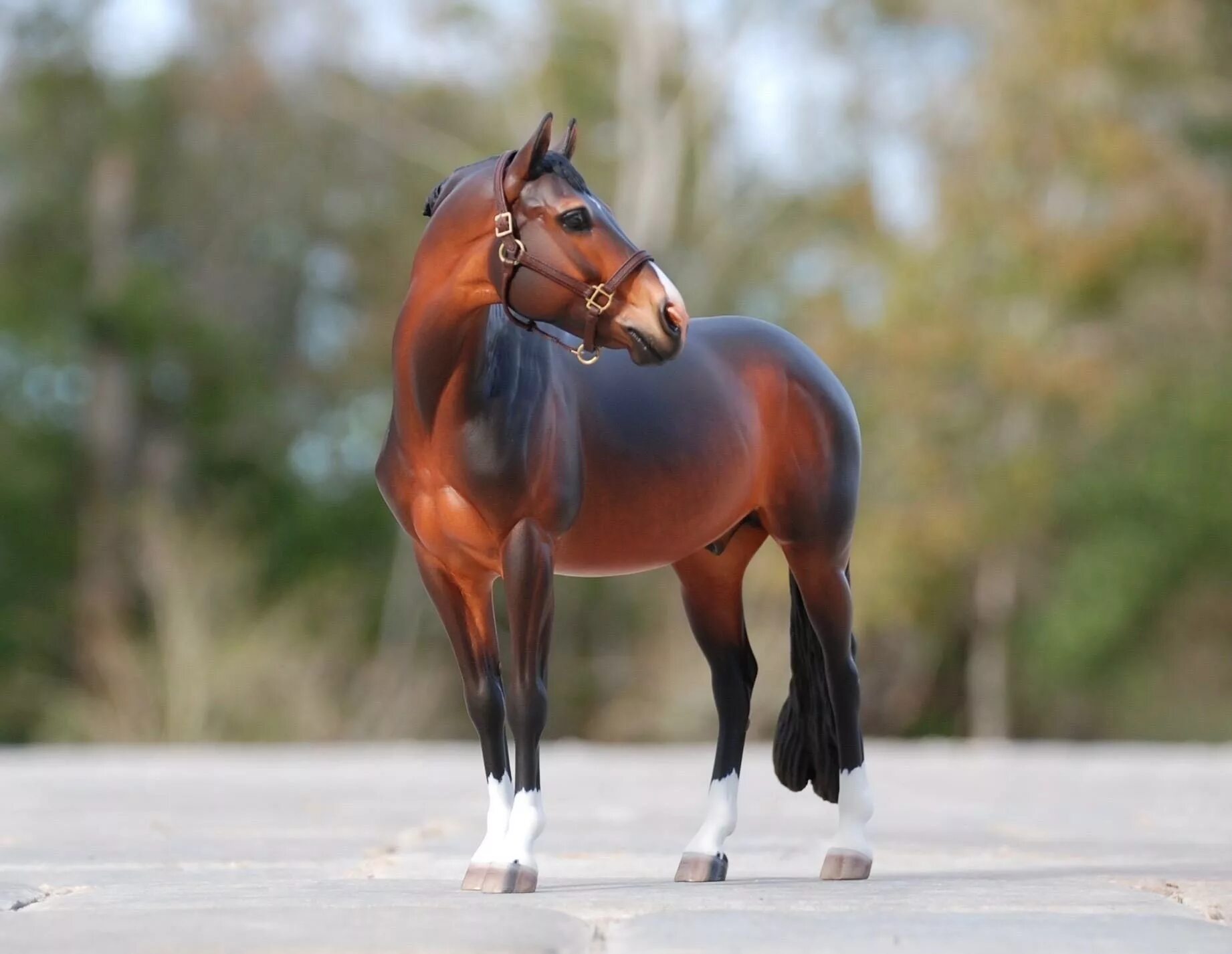 Horses model