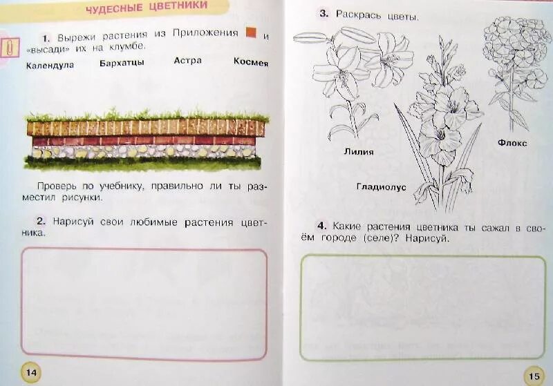 Растения на клумбе задания. Окружающий мир 1 класс задания. Чудесные цветники весной 2 класс