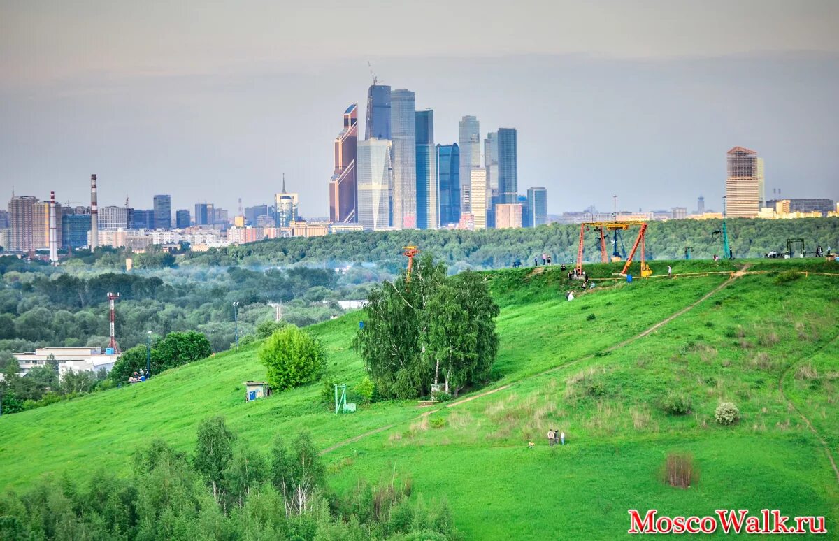 Москва расположена на холмах. Крылатские холмы Москва. Парк Крылатские холмы Москва. Парк заповедник Крылатские холмы. Крылатские холмы парк летом.