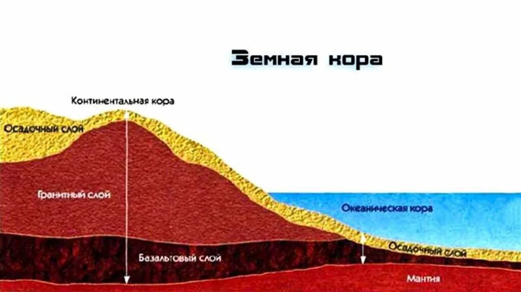 Континентальные плиты земной коры. Осадочный слой гранитный слой базальтовый слой. Гранитный и базальтовый слои земной коры. Внутренним слоем и поверхностью