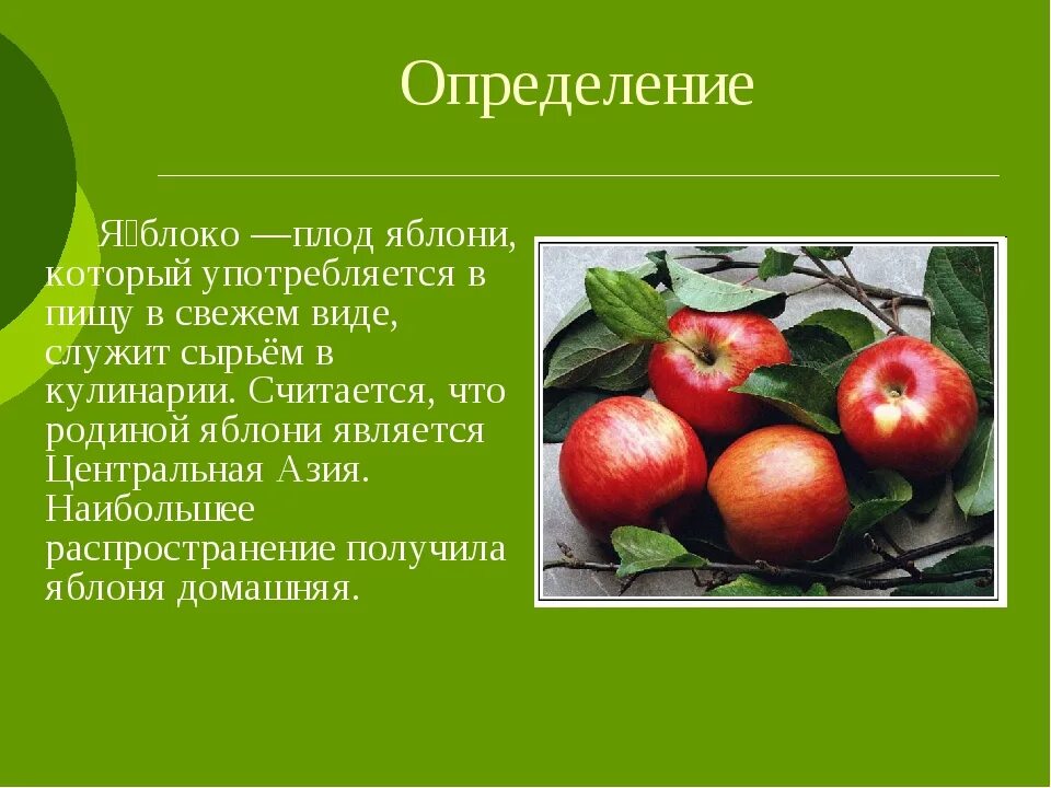 Сочинение про яблоню егэ. Презентация на тему яблоко. яблоко для презентации. доклад про яблоню. яблоня для презентации.