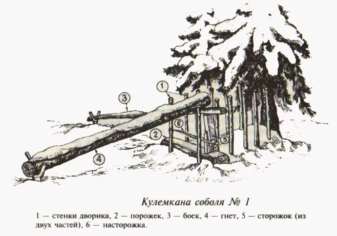 кулемка на соболя устройство. кулемка на соболя устройство. ловушка для соболя кулемка схема. чертежи кулёмки на соболя. самолов кулемка.