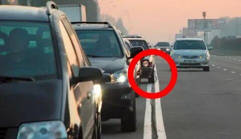 Погоня по встречке