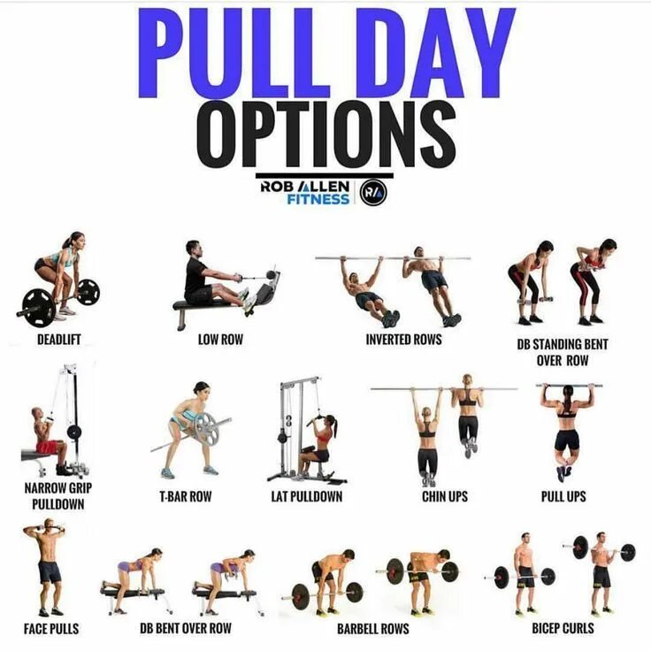 Pull exercises. Push pull тренировка. push pull схема тренировки. pull day workout. push и pull бодибилдинг.