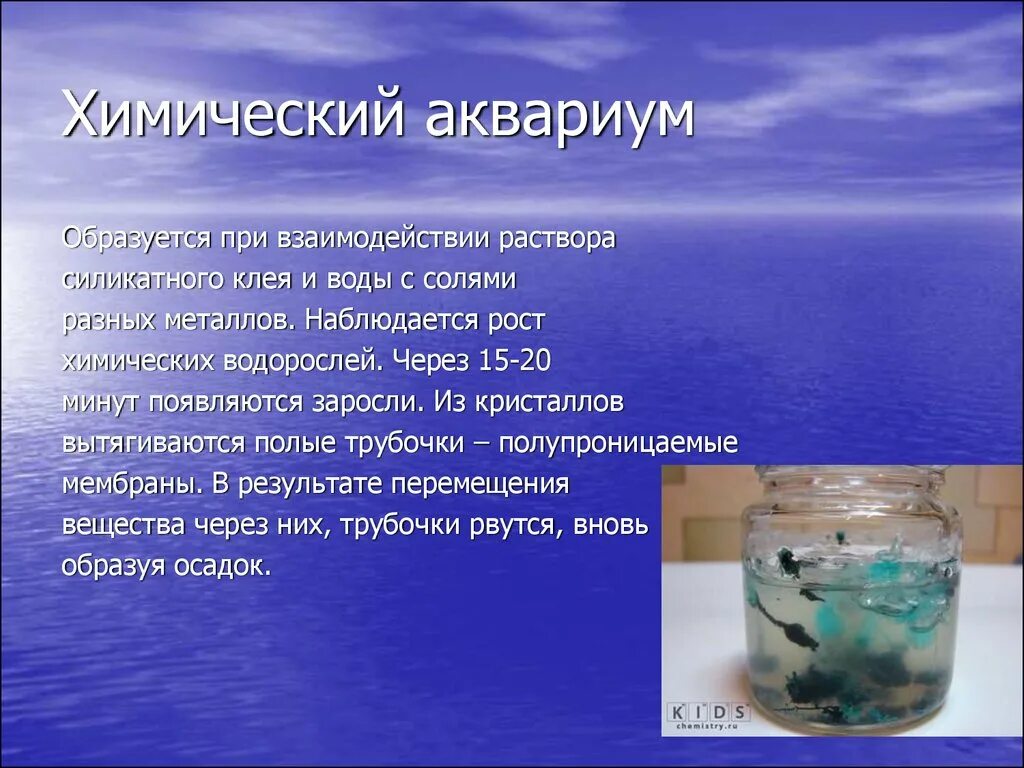 Химические водоросли. Химический аквариум. Аквариум для химических опытов. Презентация химические водоросли химия. Химические водоросли проект.
