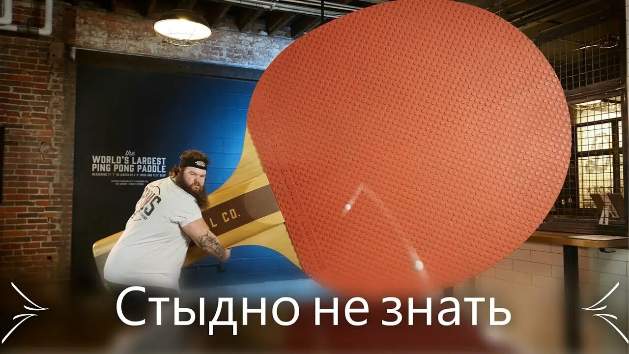 Необычные рекорды гиннеса. Самая большая тыква. Самый большой шар в мире. Самый большой мировой рекорд в мире. Рекорды гиннесса.