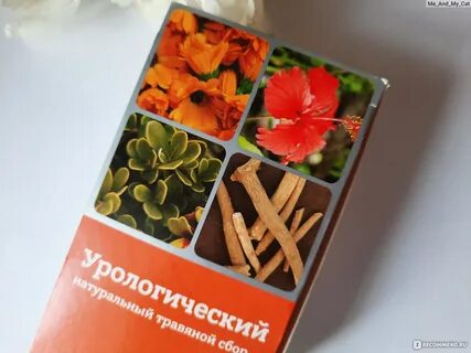 Сбор ст