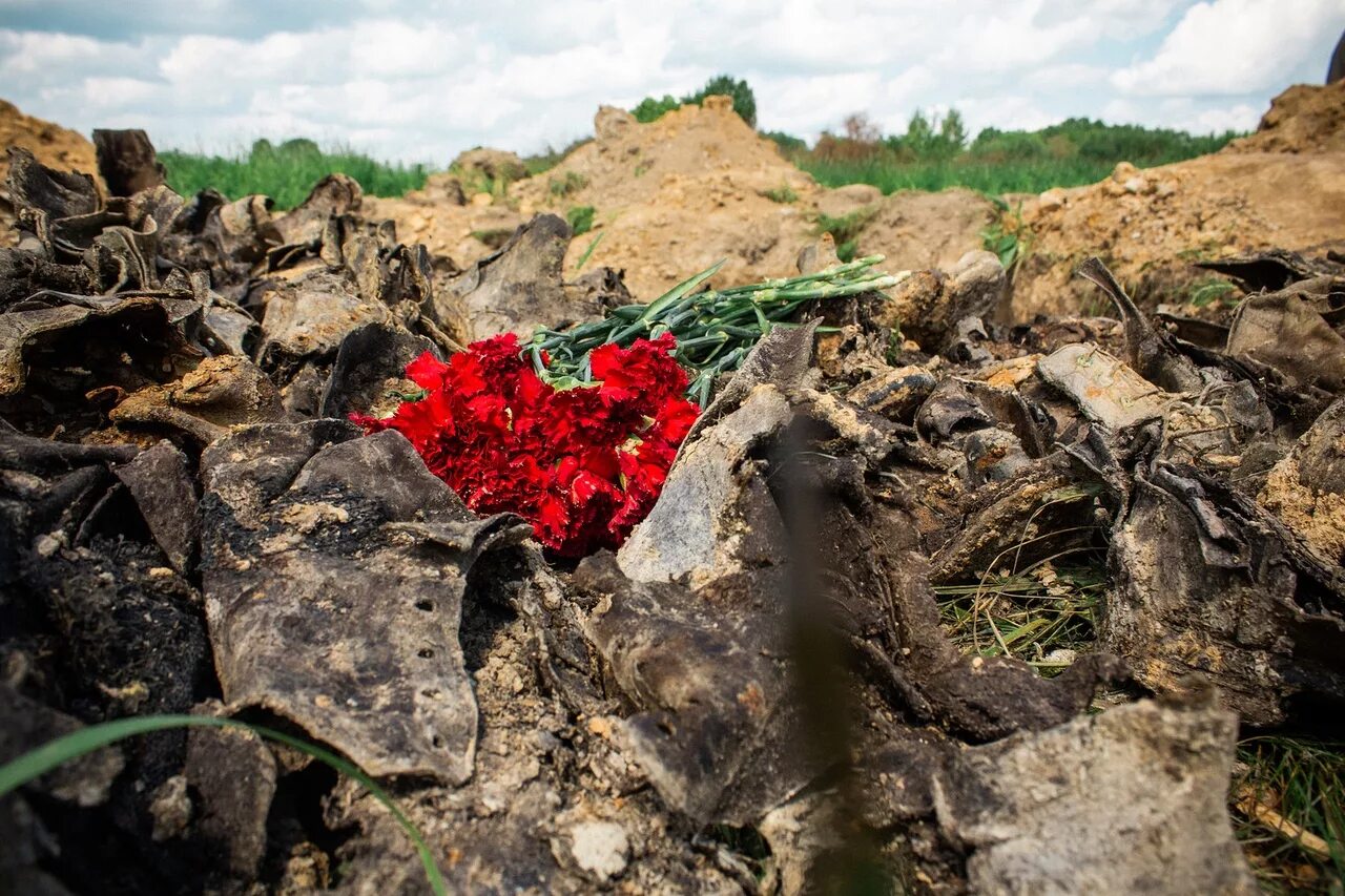 Ржев болота. Останки бойцов Ржевского района Тверской области-.