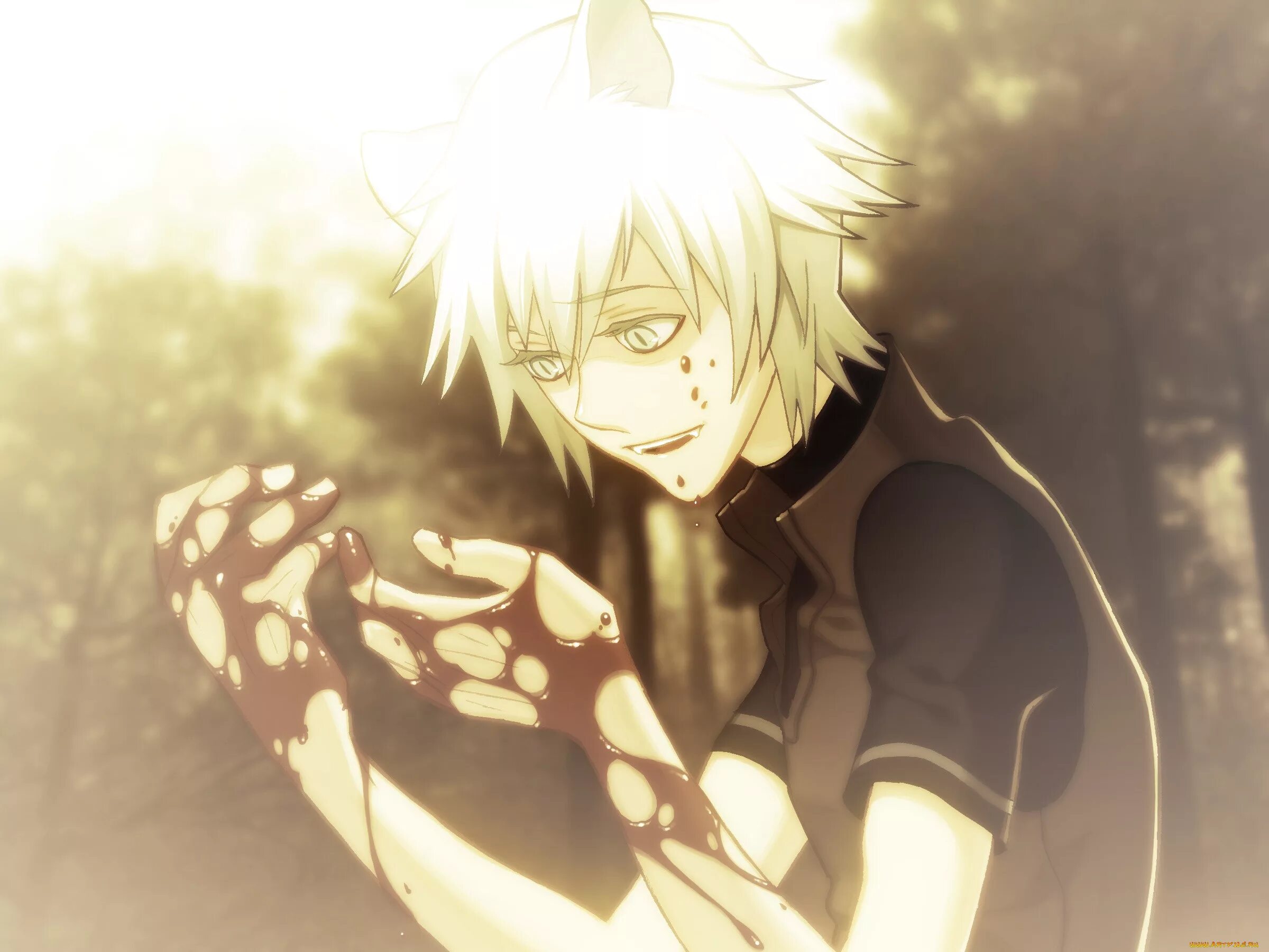 Lamento -beyond the void-. Ламенто нуна. Коное 26. Коное. Коное.