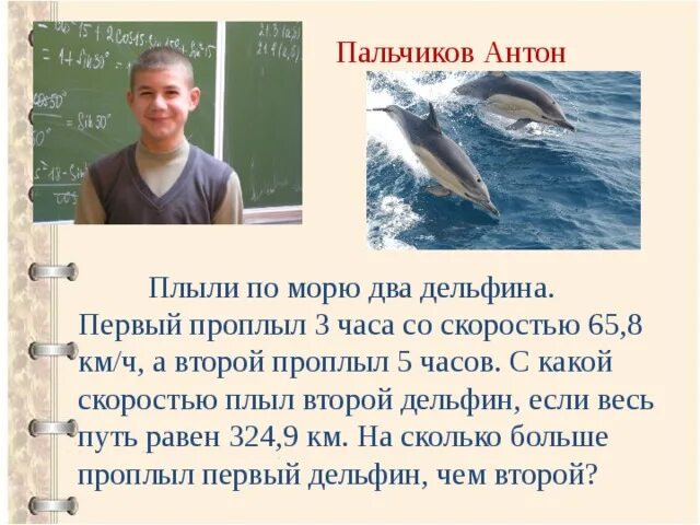 Скорость дельфина в 2 раза. Какую скорость развивает дельфин. сколько дельфины могут проплыть. скорость плавания дельфина можно определить используя метод.