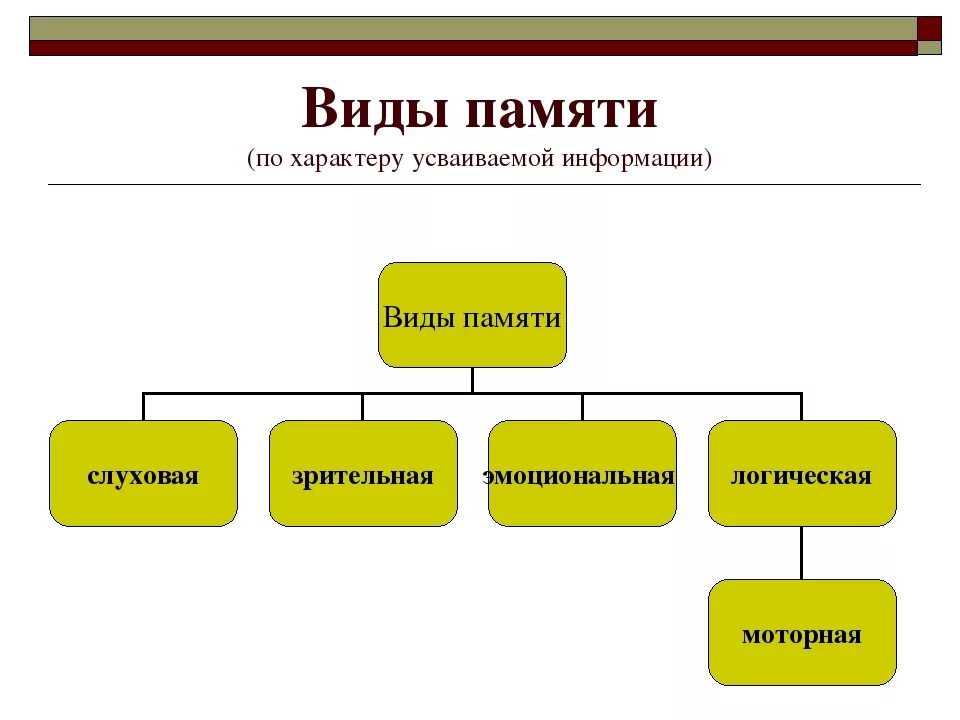 Классификация видов памяти схема. Обобщенная схема видов памяти. Перечислите виды памяти. Виды памяти у человека. Чем отличаются виды памяти