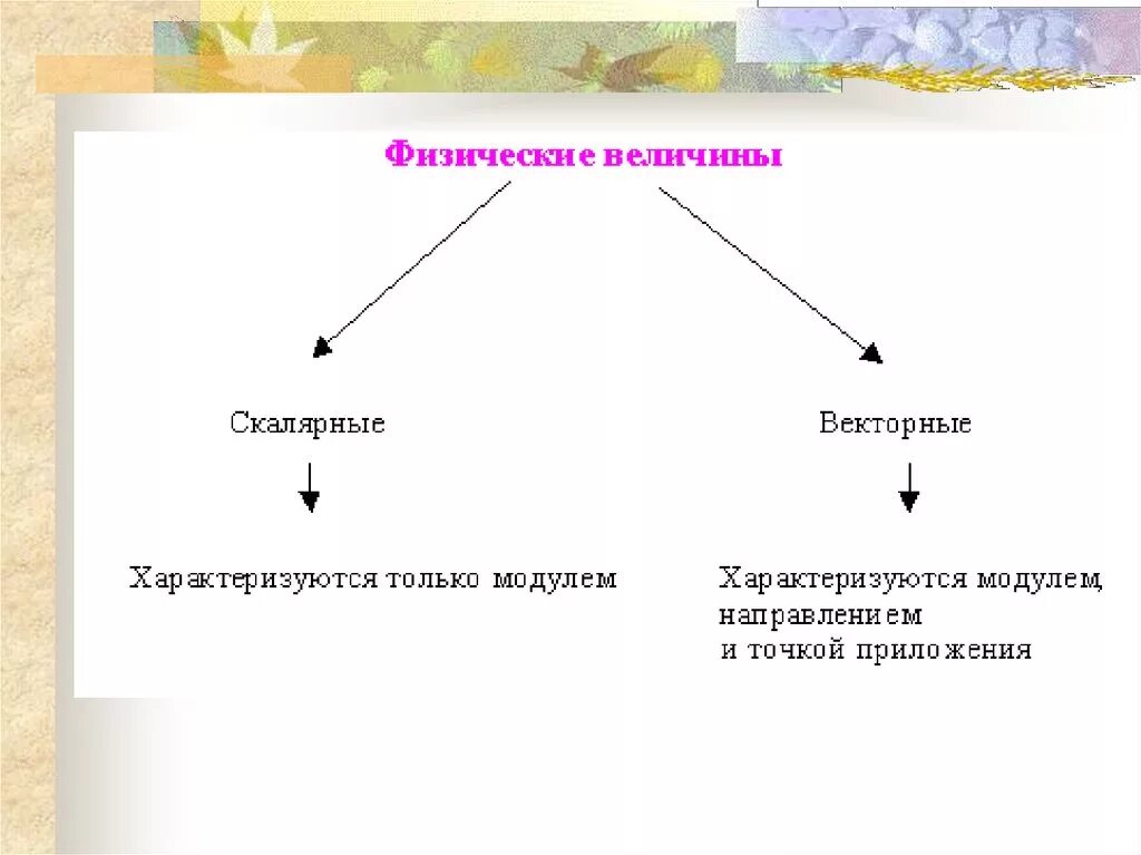 Векторная величина объем. Векторные и Скалярные величины в физике примеры. Скалярная величина это физика 7 класс. Векторные физические величины. Векторные физические величины и Скалярные.