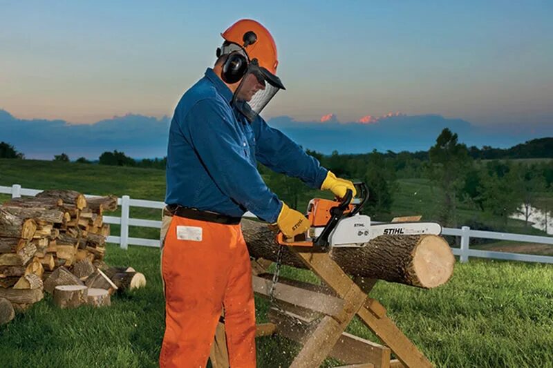 Stihl timberplus. Бензопила stihl ms 170. stihl ms 250. stihl бензопила stihl ms 170. бензопила штиль мс 250.