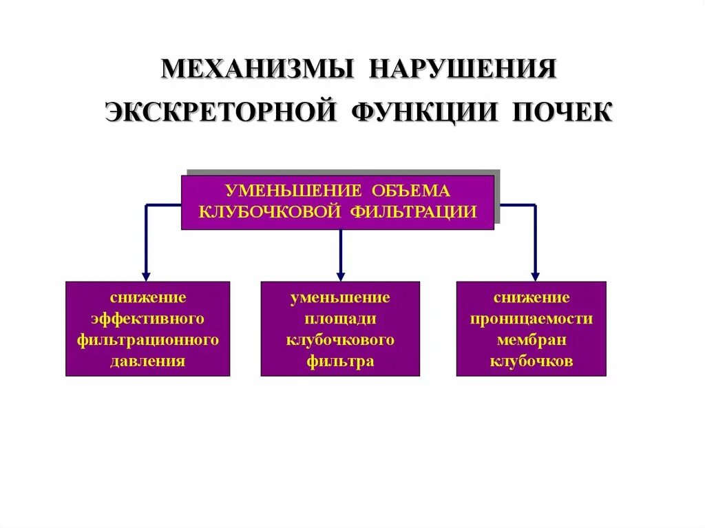 Каковы основные нарушения работы почек. Основные механизмы нарушений экскреторной функции почек. Механизмы нарушения экскреторной функции почек. Механизмы нарушения функций почек схема. Механизмы нарушения функций почек блок схема.